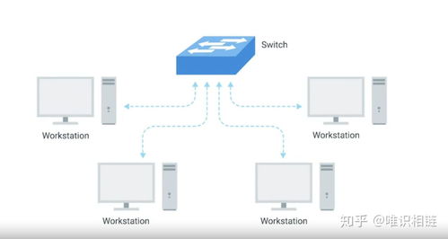 計算機網(wǎng)絡(luò)快速入門 網(wǎng)絡(luò)設(shè)備、電纜及其功能解析